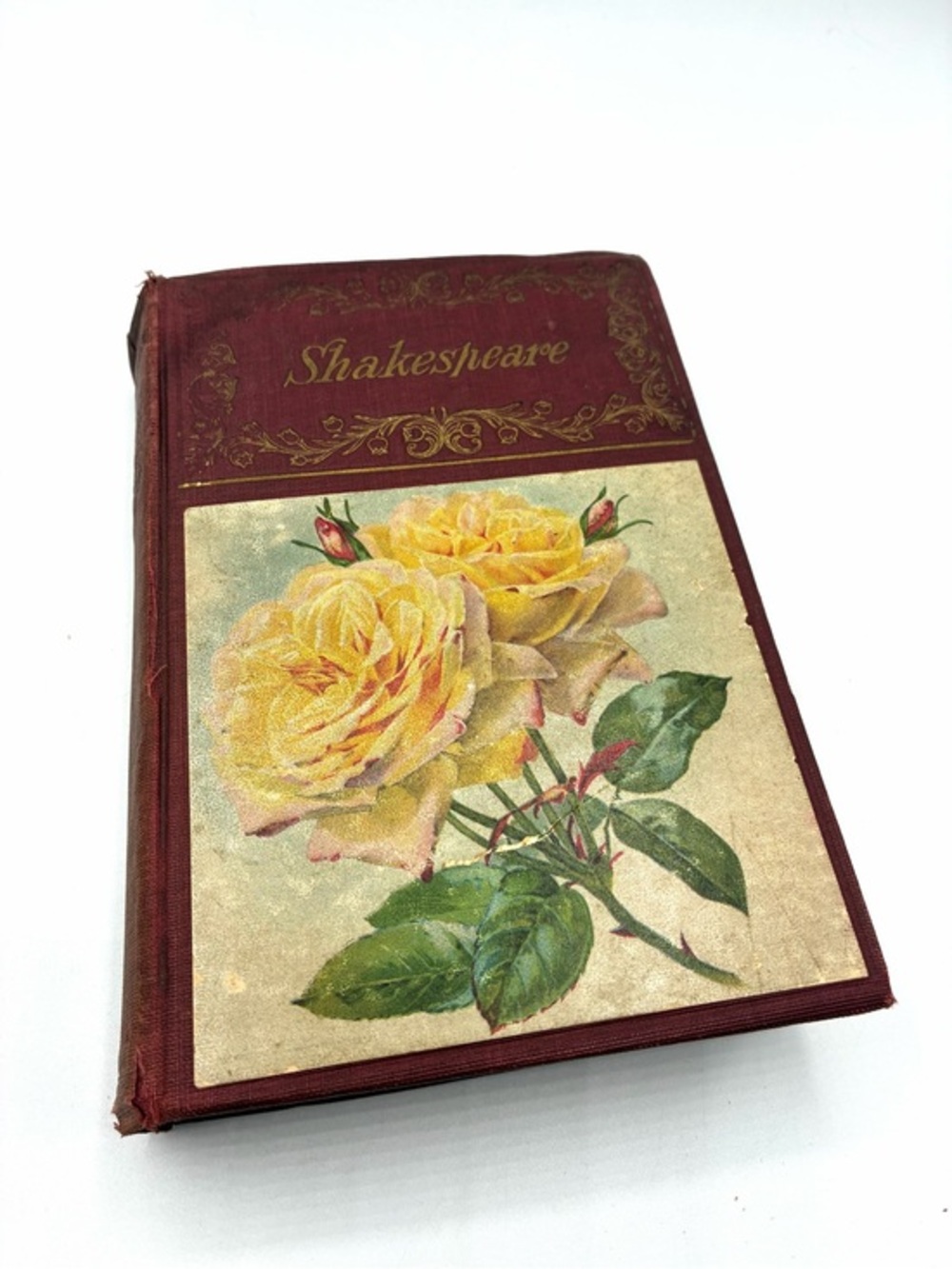 Antique Complete Works William Shakespeare Hurst & Co Rose Cover Early 1900s